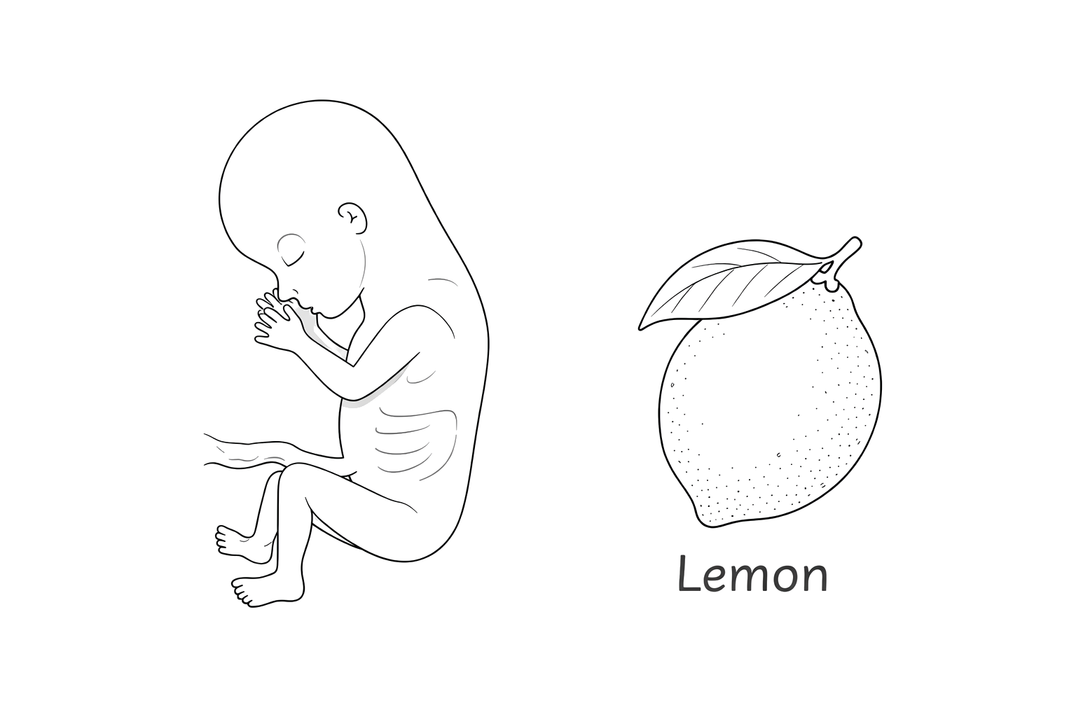 Baby at month 3