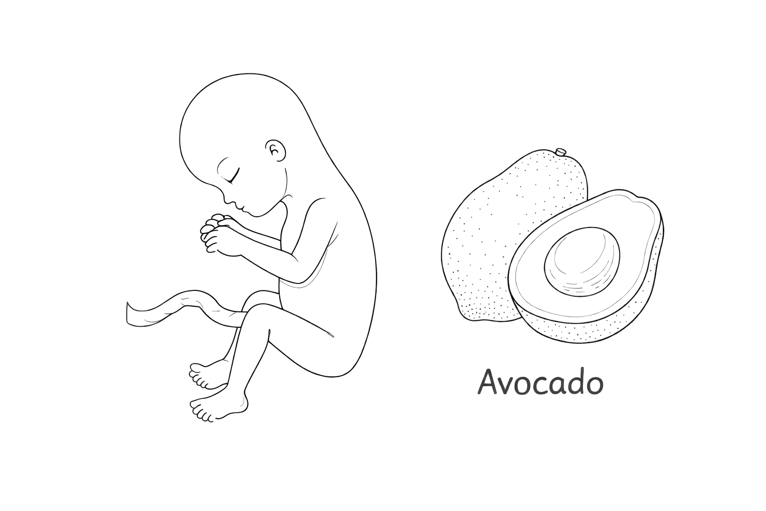 Baby at month 4