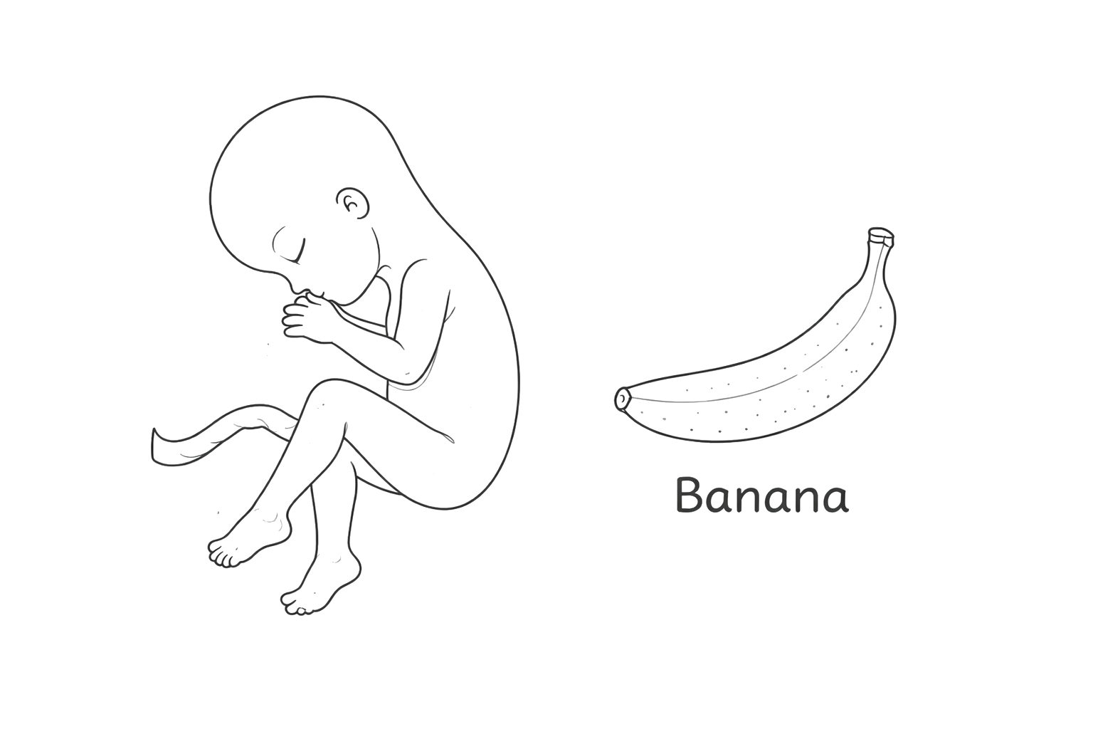 Baby at month 5